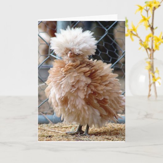 WANNEER ZIEK EET EEN HAMBURGER ***GEEN KIPPENSOEP* KAART (Gele Bloem)