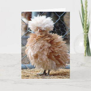 WANNEER ZIEK EET EEN HAMBURGER ***GEEN KIPPENSOEP* KAART