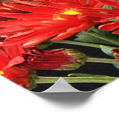 Want het is een schande poster (Hoek)