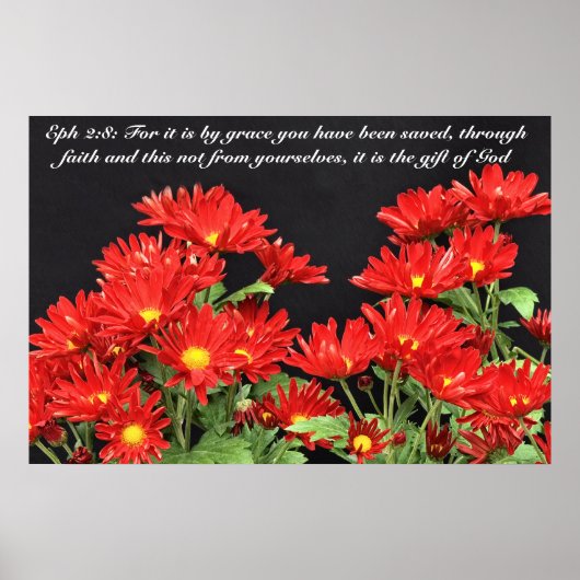 Want het is een schande poster (Voorkant)