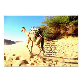 Want ik ken de plannen die ik heb.... Jeremiah 29: Foto Afdruk