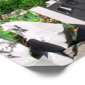 Want wij zijn Gods vakmanschap Poster (Hoek)