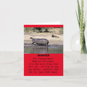 "WANTED: ÉÉN HIPPOPOTAMUS.  BEHOEFTE VAN CHRISTMAS FEESTDAGEN KAART