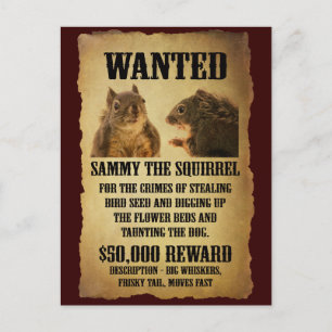 Wanted Poster with Squirrel Briefkaart