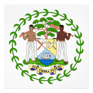 Wapen van Belize land symbool embleem vlag Foto Afdruk