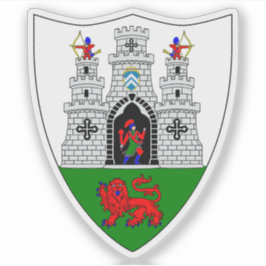 Wapen van de stad Kilkenny Sticker