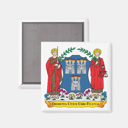 Wapen van Dublin Magneet (Voorkant / Achterkant)