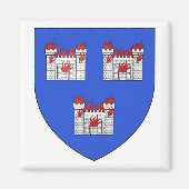 Wapen van Dublin Magneet (Voorkant)