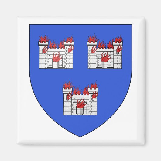 Wapen van Dublin Magneet (Voorkant)