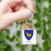 Wapen van Istrië Adriatisch Erfgoed Sleutelhanger (Hand)