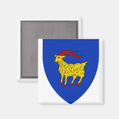 Wapen van Istrië in Kroatië Magneet (Voorkant / Achterkant)