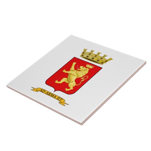 Wapen van Ventimiglia Tegeltje (Zijkant)