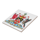 Wapenmunt van Trinidad en Tobago Tegeltje (Zijkant)