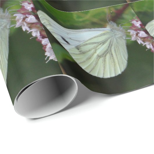 Wapenpapier witte vlinder cadeaupapier (Rol Hoek)