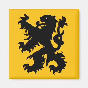 Wapenschild van de Vlaamse Leeuw Magneet