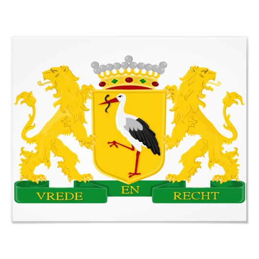 wapenschild van Den Haag, Nederland. Foto Afdruk (Voorkant)