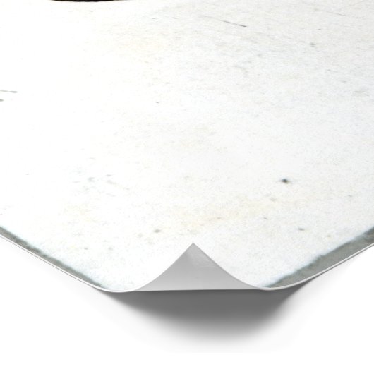 wapenschild van Oliver Cromwell Poster (Hoek)