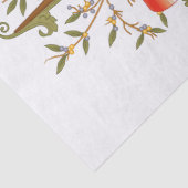 Wapenstaart van Australië Tissuepapier (Detail)