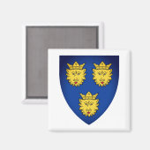 Wapenstaart van Dalmatia, Kroatië Magnet (Voorkant / Achterkant)