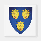 Wapenstaart van Dalmatia, Kroatië Magnet (Voorkant)