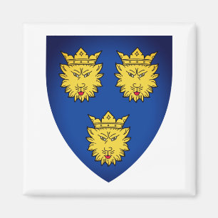 Wapenstaart van Dalmatia, Kroatië Magnet