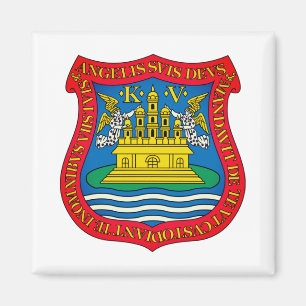 Wapenstaart van Puebla de los Ángeles, Mexico Magneet