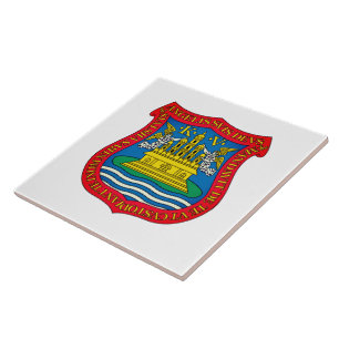 Wapenstaart van Puebla de los Ángeles, Mexico Tegeltje