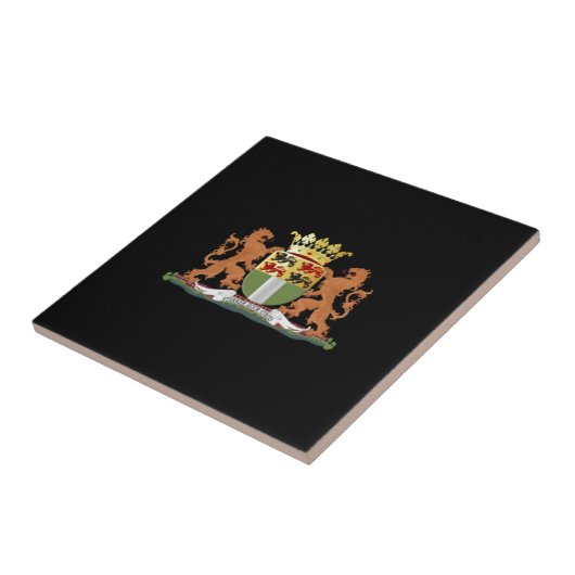 Wapenstaart van Rotterdam Tegeltje (Zijkant)