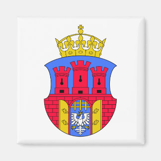 wapenstilstand in Kraków Magneet