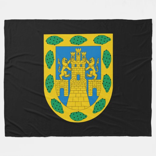 Wapenstilstand in Mexico Fleece Deken (Voorkant (Horizontaal))