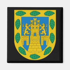 Wapenstilstand in Mexico Magneet