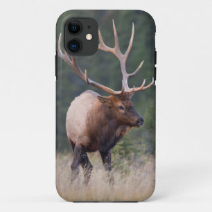 Wapiti iPhone 11 Hoesje