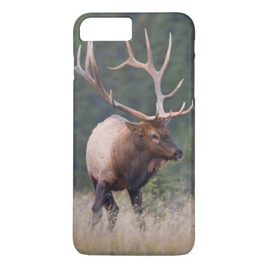 Wapiti Case-Mate iPhone Case (Achterkant)