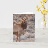 Wapiti Dame - 4" x 5.6" Notitiekaart (Gele Bloem)
