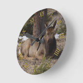 Wapiti (Elk) & Magpie Ronde Klok (Hoek)