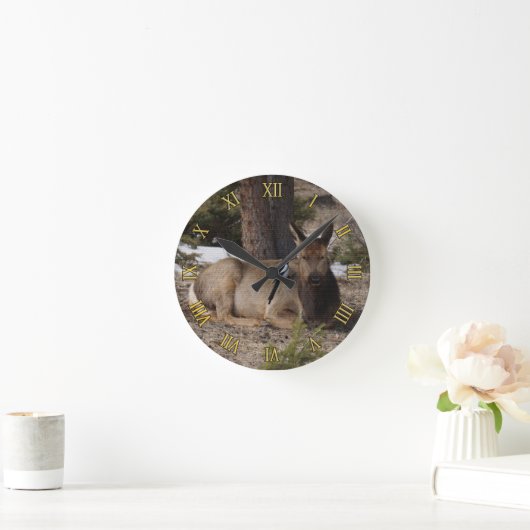 Wapiti (Elk) & Magpie Ronde Klok (Huis)