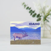 Wapiti (Elk) van het meer Briefkaart (Staand voorkant)