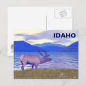 Wapiti (Elk) van het meer Briefkaart (Voorkant / Achterkant)