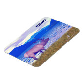 Wapiti (Elk) van het meer Magneet (Linkerzijde)