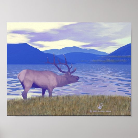 Wapiti (Elk) van het meer Poster (Voorkant)