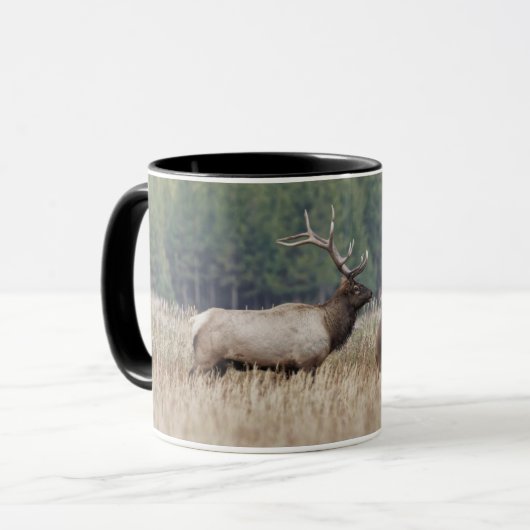Wapiti in weide | Yellowstone National Park Mok (Voorkant links)