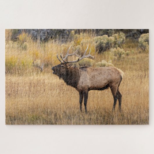 Wapiti | Nationaal park Yellowstone Legpuzzel (Horizontaal)