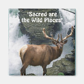Wapiti & Waterval Wilderness Gift Magnet (Voorkant)