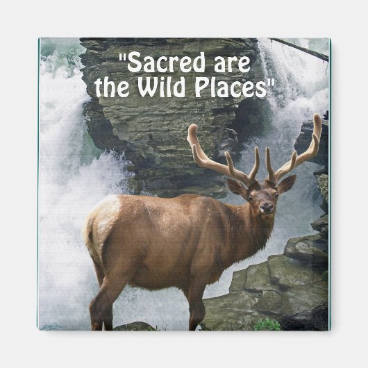 Wapiti & Waterval Wilderness Gift Magnet (Voorkant)