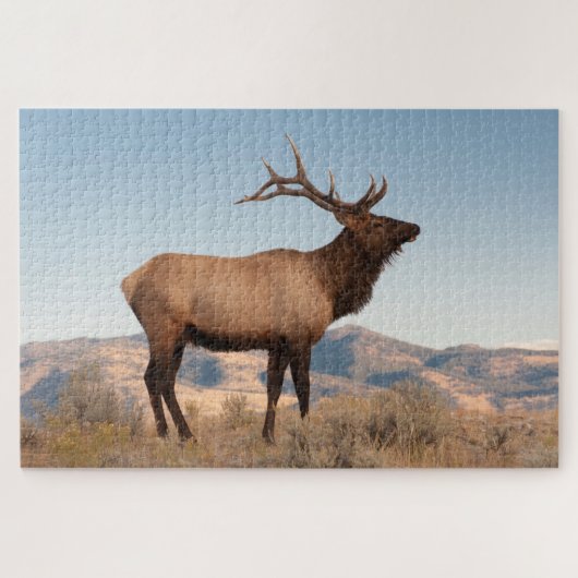 Wapitihengst bij Mammoth | Wyoming Legpuzzel (Horizontaal)
