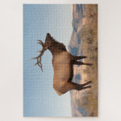 Wapitihengst bij Mammoth | Wyoming Legpuzzel (Verticaal)