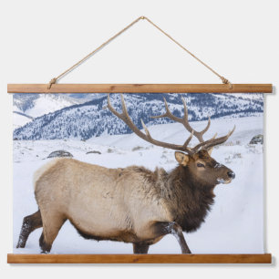 Wapitihengst Wyoming Hangend Wandkleed