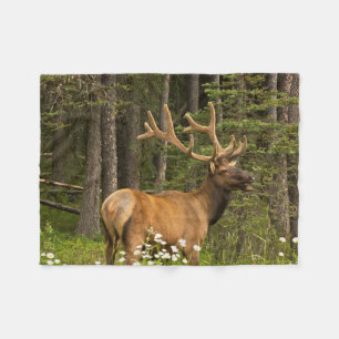 Wapitihert in fluweel, Canada Fleece Deken