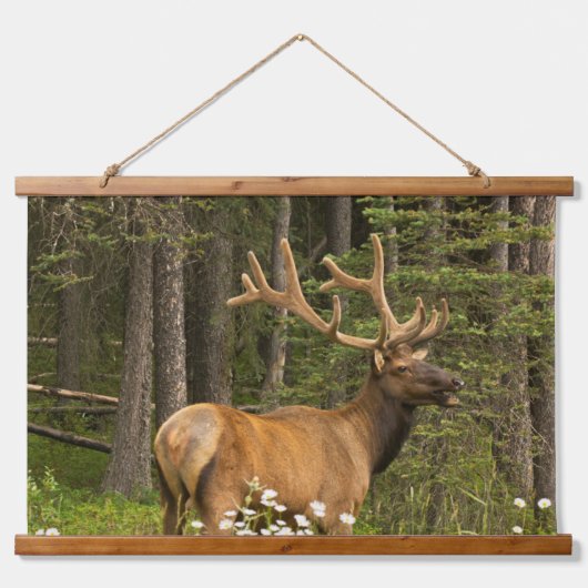 Wapitihert in fluweel, Canada Hangend Wandkleed (Voorkant)