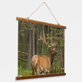 Wapitihert in fluweel, Canada Hangend Wandkleed (Gebogen)